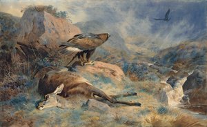The Lost Hind
