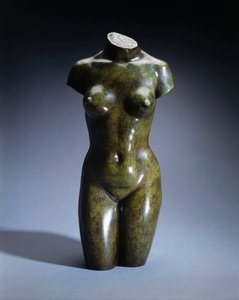 Torso of a Young Woman