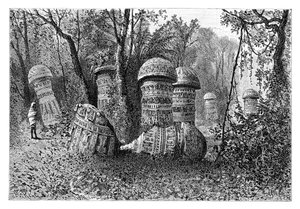 Ruins of an Ahom temple, Dinajpur, Upper Assam, India, 1895
