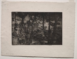 Trees at Night by Armand Séguin