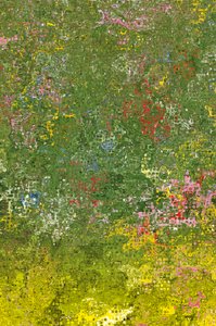 Flower Meadow by Armin Mumper