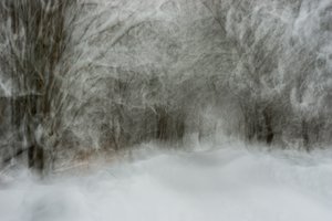 Dreamy Snowy Path by Arne Östlund