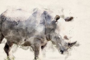 Graceful Watercolor Rhino