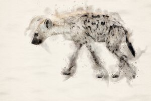 Spotted Hyena Watercolor