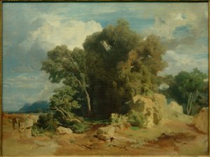 Pontine Marshes