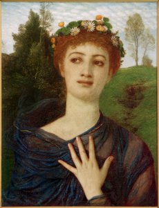 Flora