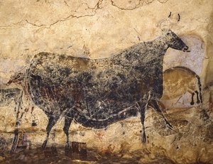 Black Cow (Cave painting of Lascaux, ca 16,000-15,000 BC) by Art of the Upper Paleolithic.