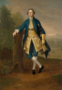 Portrait of a Man in Blue by Arthur Devis