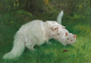 Interesting Discovery 1923 by Arthur Heyer