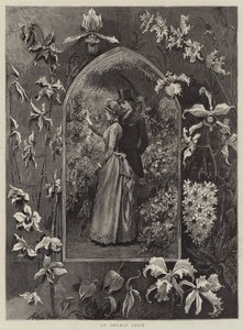 An Orchid Show by Arthur Hopkins