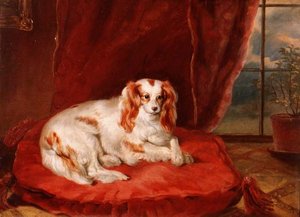 A Cavalier King Charles Spaniel Lying on a Red Cushion by Arthur J. Stark