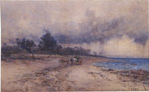 Not Titled (Gathering Seaweed Before the Storm, Sandringham Beach)