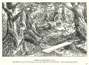 Sport in the New Forest