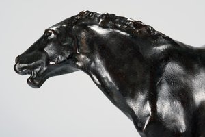 Colt by Arthur Putnam