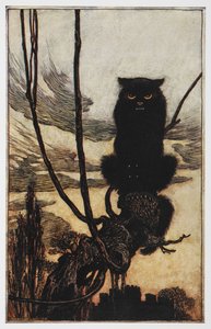 Illustration from Jorinda and Joringel of a black cat by Arthur Rackham