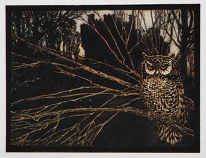 Illustration from Jorinda and Joringel of a screech owl