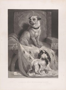 Dog on an Ermine Mantle on a Throne by Arthur Turrell