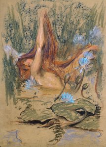 Nymphea, c.1890 by Arthur Wardle