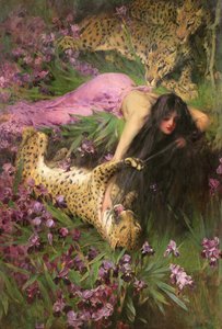 The Enchantress