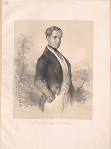 Emperor Peter II of Brazil by Artist Unknown