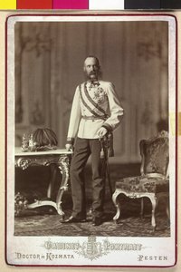 Franz Joseph I by Artist Unknown