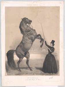 Tourniaire (circa 1860) by Artist Unknown