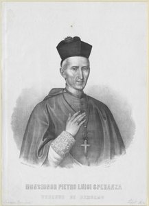Pietro Luigi Speranza by Artist Unknown