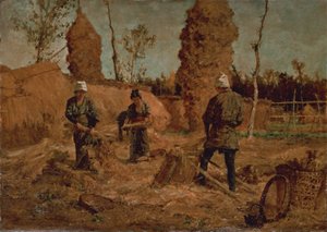 Harvest by Asai Chu