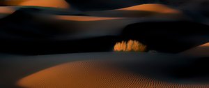 Golden Hour Desert Dunes