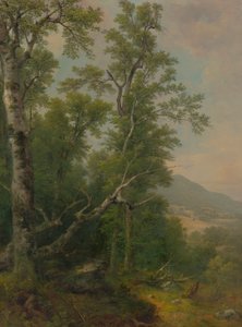 Study of Trees