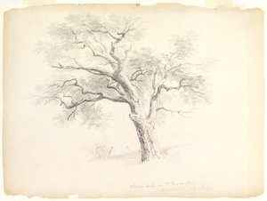 The Chestnut Oak on the Hosack Estate, Hyde Park, New York with Five Figures and an Artist Sketching, 1838