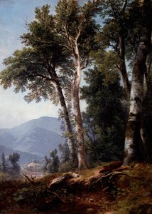 Woodland Landscape by Asher Brown Durand