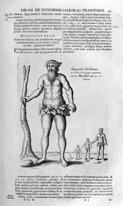 Antediluvian giants, 1678