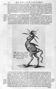 Mythical creatures by Athanasius Kircher