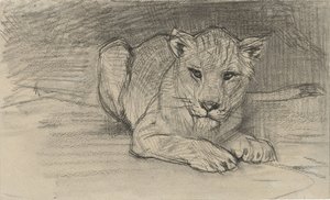 Lying Lioness by August Allebe