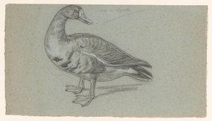 Sketch of a Stuffed Duck by August Allebe