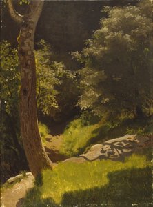 Park landscape with garden path by August Cappelen