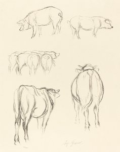 Animal Sketches by August Gaul