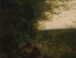 At the Edge of the Forest by August Heinrich