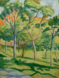 Trees in the Meadow