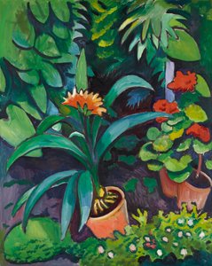 Flowers in the Garden, Clivia and Pelargoniums by August Macke