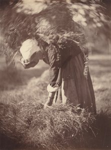Peasant
