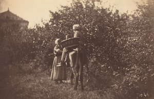 Two Women with Donkey, late 1870s
