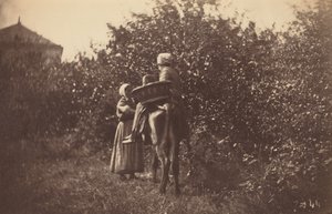Two Women with Donkey, late 1870s
