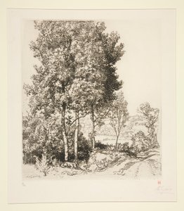 Small Morin Valley near Verdelot (Seine-et-Marne) by Auguste Lepere