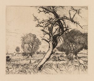 Auguste Lepère: The Dead Apple Tree (Picardie)