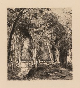 Auguste Lepère: Underwood, at La Rigonette (Vendée) by Auguste Louis Lepère