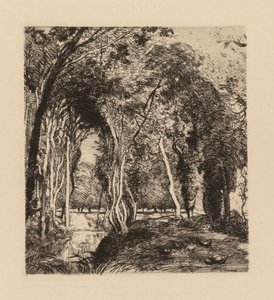 Auguste Lepère: Sous bois, à la Rigonette Vendée