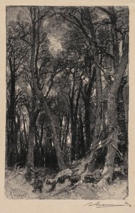 Fontainebleau Forest: Bas-Bréau by Auguste Louis Lepère