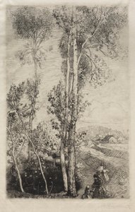 The Little Pond